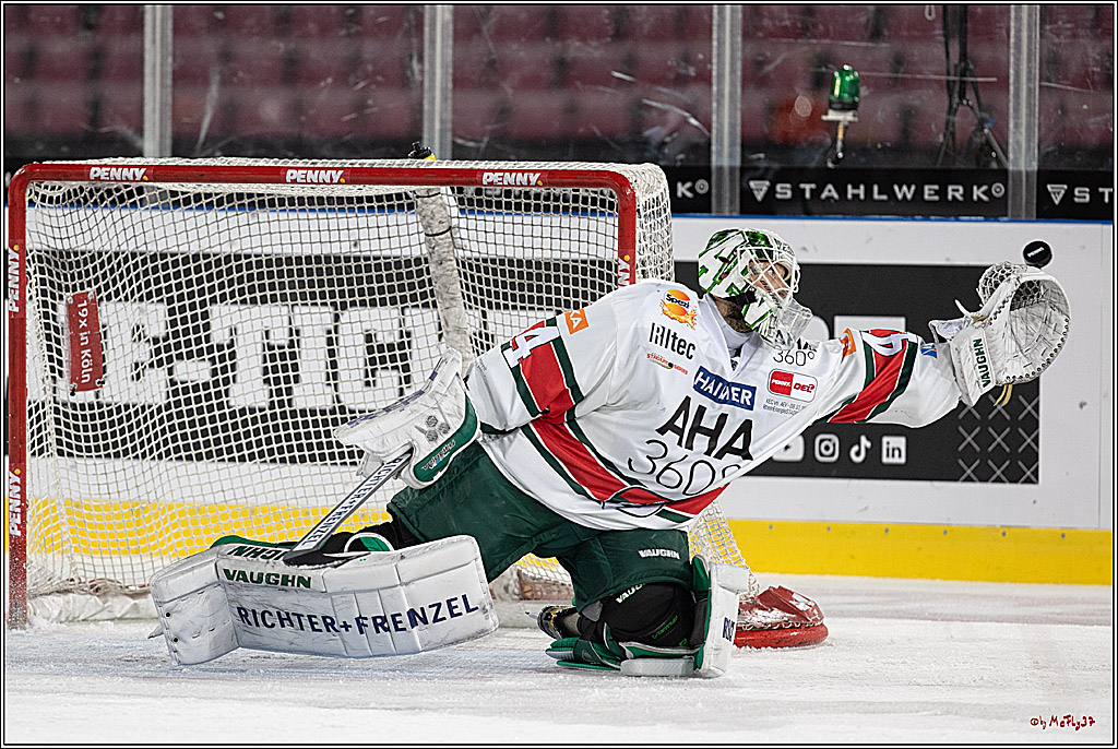 PENNY DEL;  Koelner Haie - Augsburger Panther; Koeln, 08.01.2023